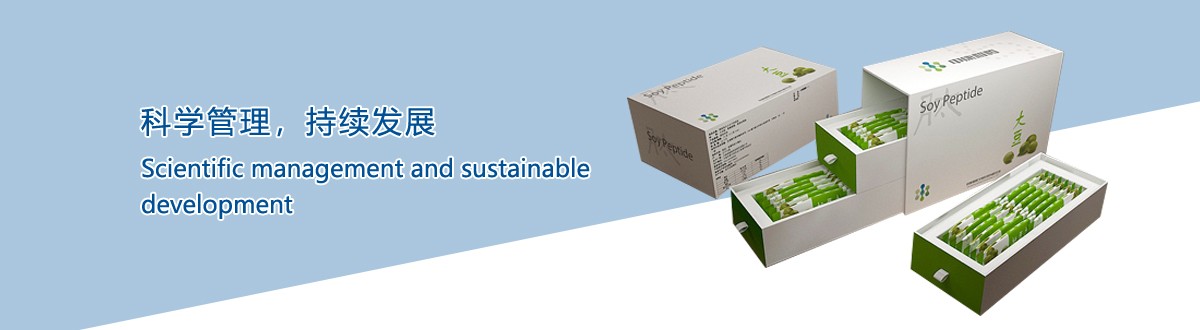 服务理念 - 武汉betvlctor伟德手机登录包装 服务理念 - 武汉betvlctor伟德手机登录包装